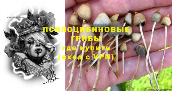 каннабис Абаза