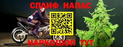 ALPHA PVP Моздок